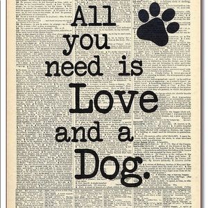 Meet your Posher, Perla